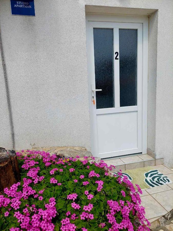 Apartment Hodanic *